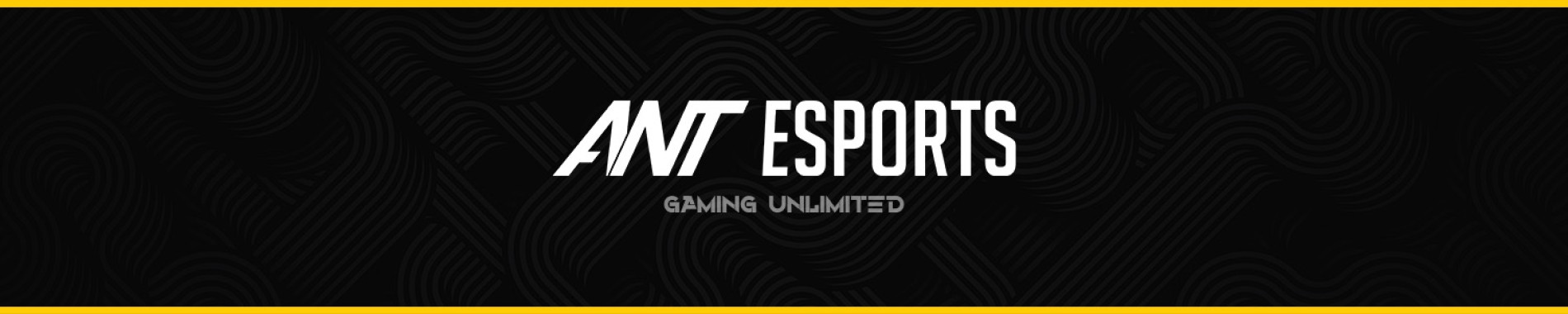 ANT ESPorts